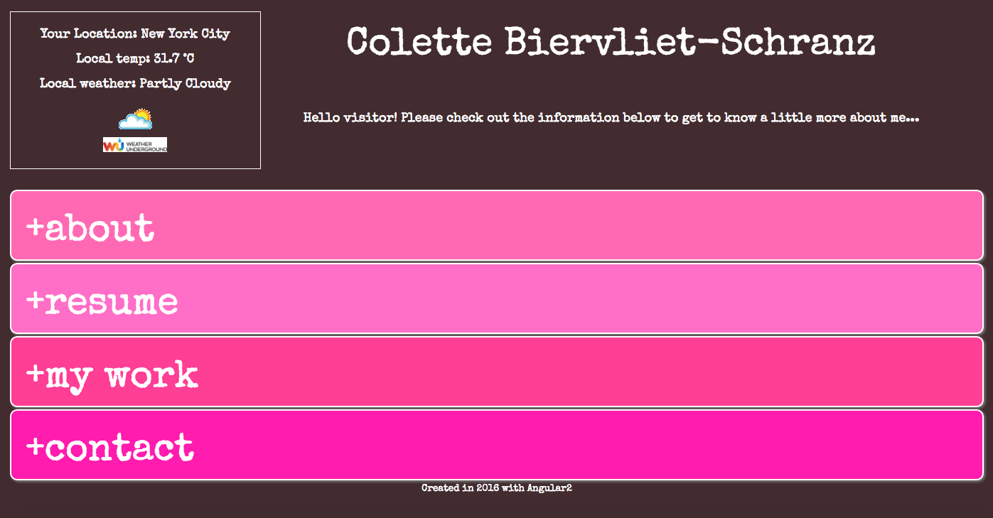 Angular Portfolio Screenshot